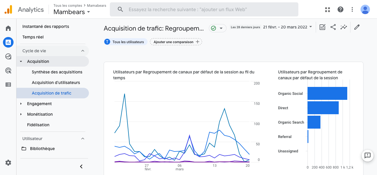 google analytics Mama Bears